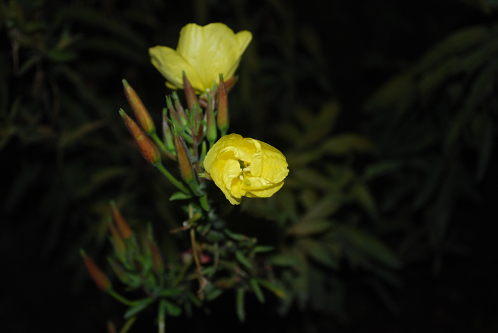 Photos from my travels