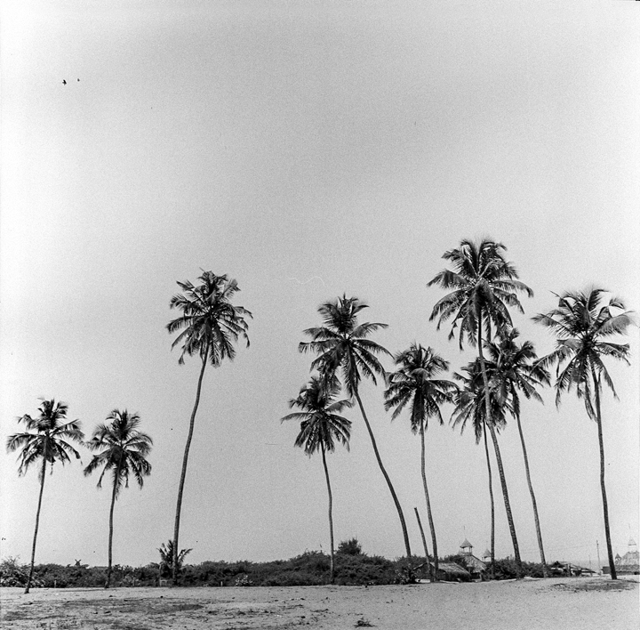 Photos on Film by Kartikaya