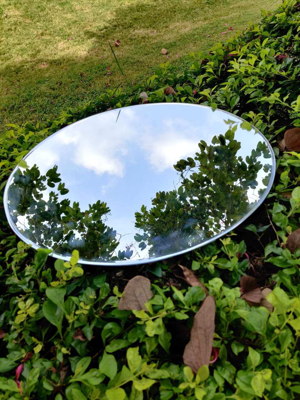 B5E071DF-9F01-4F5A-9A46-24E36C7C8385